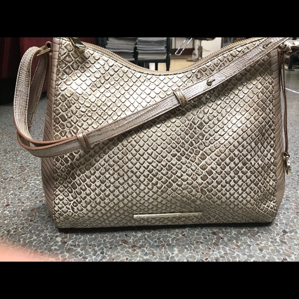 Excellent conditions Brahmin